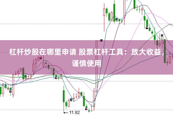 杠杆炒股在哪里申请 股票杠杆工具:放大收益,谨慎使用