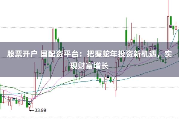 股票开户 国配资平台:把握蛇年投资新机遇,实现财富增长