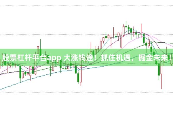 股票杠杆平台app 大涨钱途！抓住机遇，掘金未来！