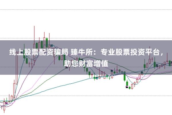 线上股票配资骗局 臻牛所：专业股票投资平台，助您财富增值